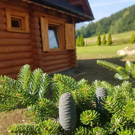 Pod Sniezka Prázdninový dům Ściegny