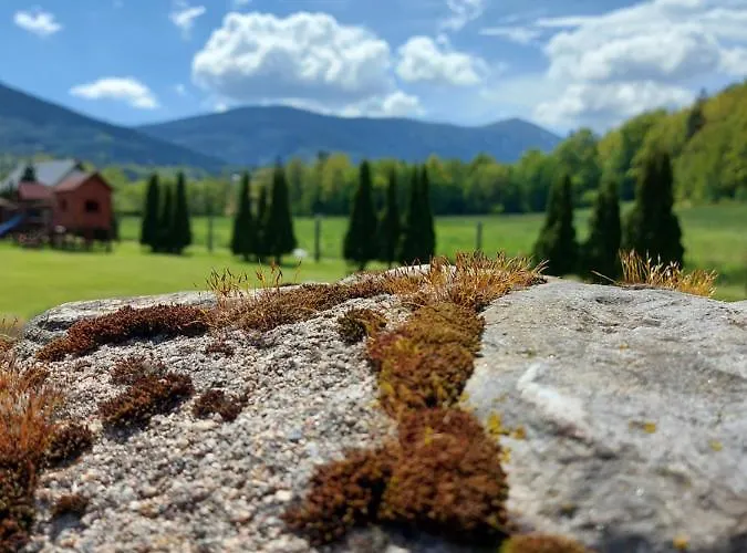 Tatil Evi Pod Sniezka Ściegny