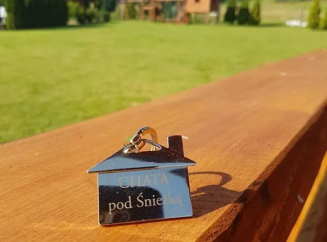 Pod Sniezka * Ściegny