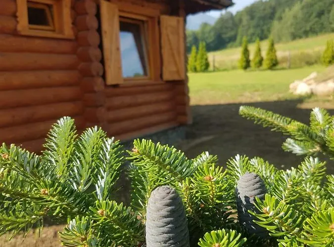 Pod Sniezka Feriehus Ściegny